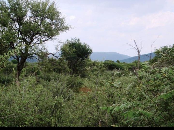Commercial Property for Sale in Brits North West
